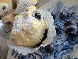 blueberry muffins