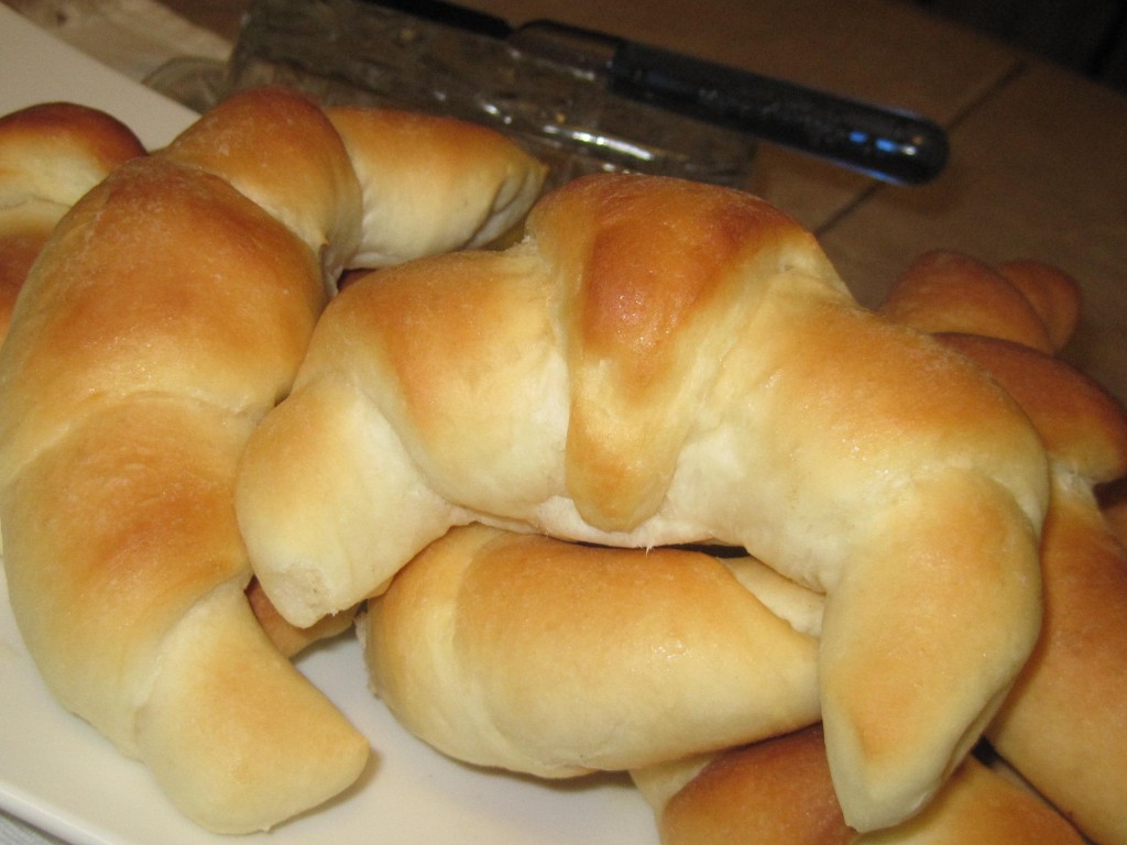 Dinner Rolls